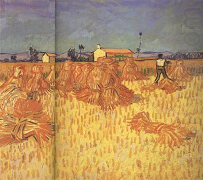 Vincent Van Gogh Harvest in Provence (nn04) china oil painting image